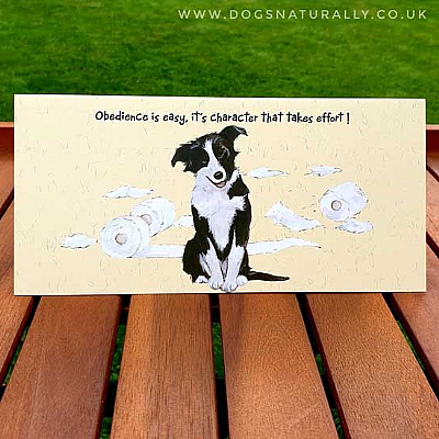 Obedience Fun Dog Greetings Card